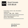 S24 Brazil Yellow Catuai Natural
