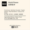 B22 World Peace